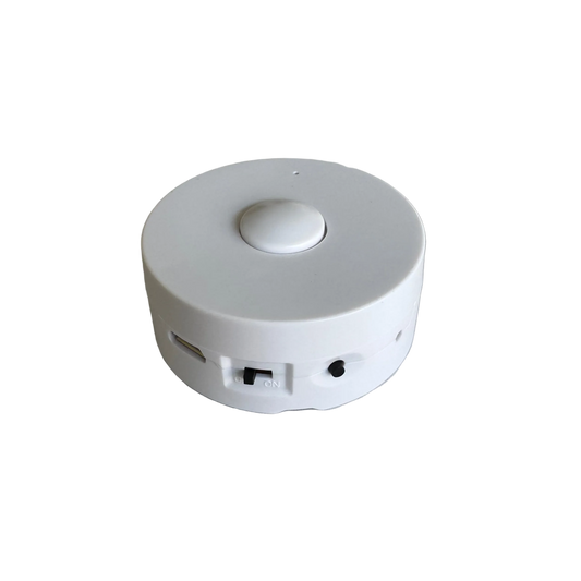 Voice module
